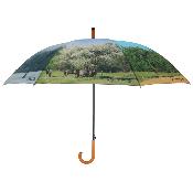 Grand parapluie automatique - Avec poignée courbée - Quatre saisons